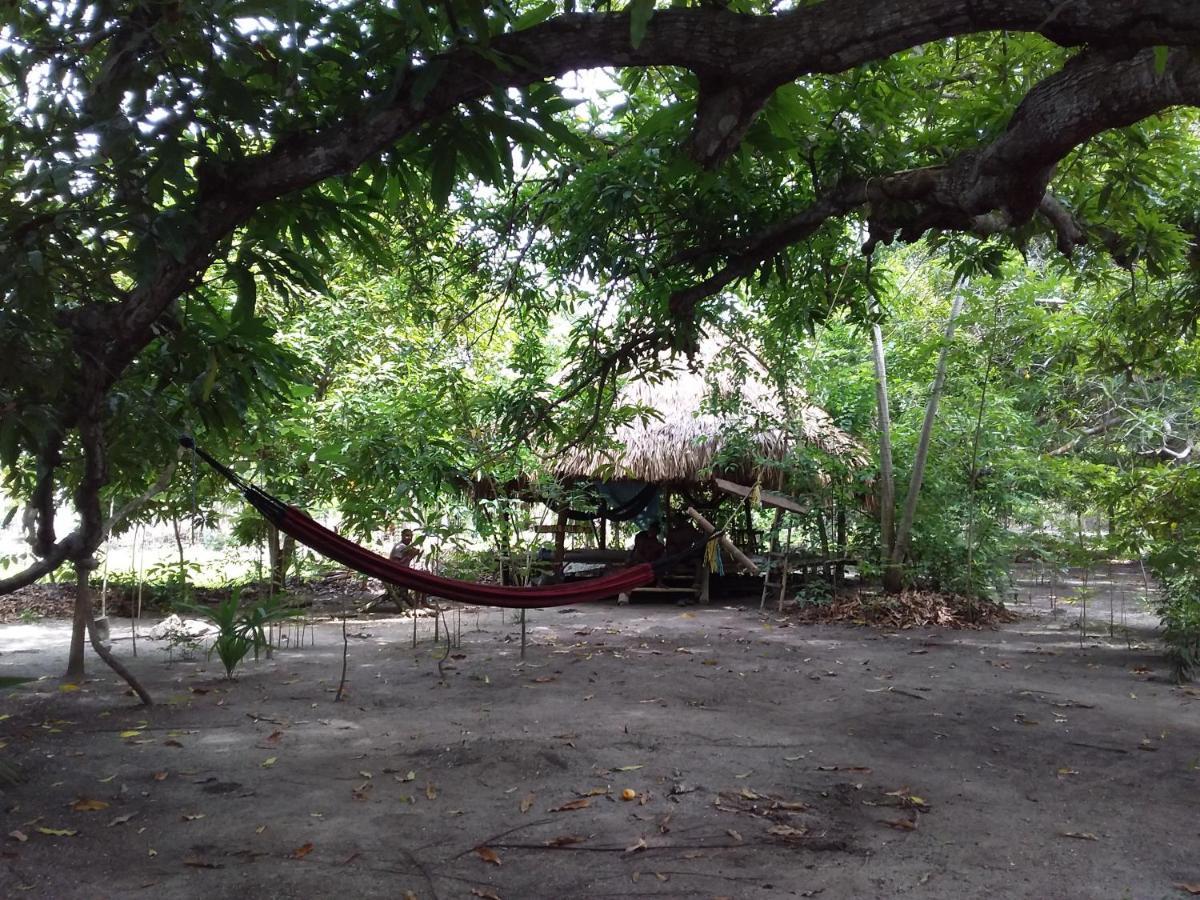 Eco-Camping Mango Feliz Rincon Del Mar San Onofre 外观 照片