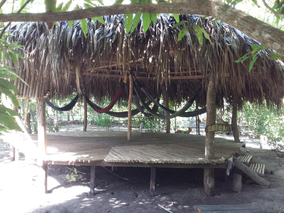 Eco-Camping Mango Feliz Rincon Del Mar San Onofre 外观 照片