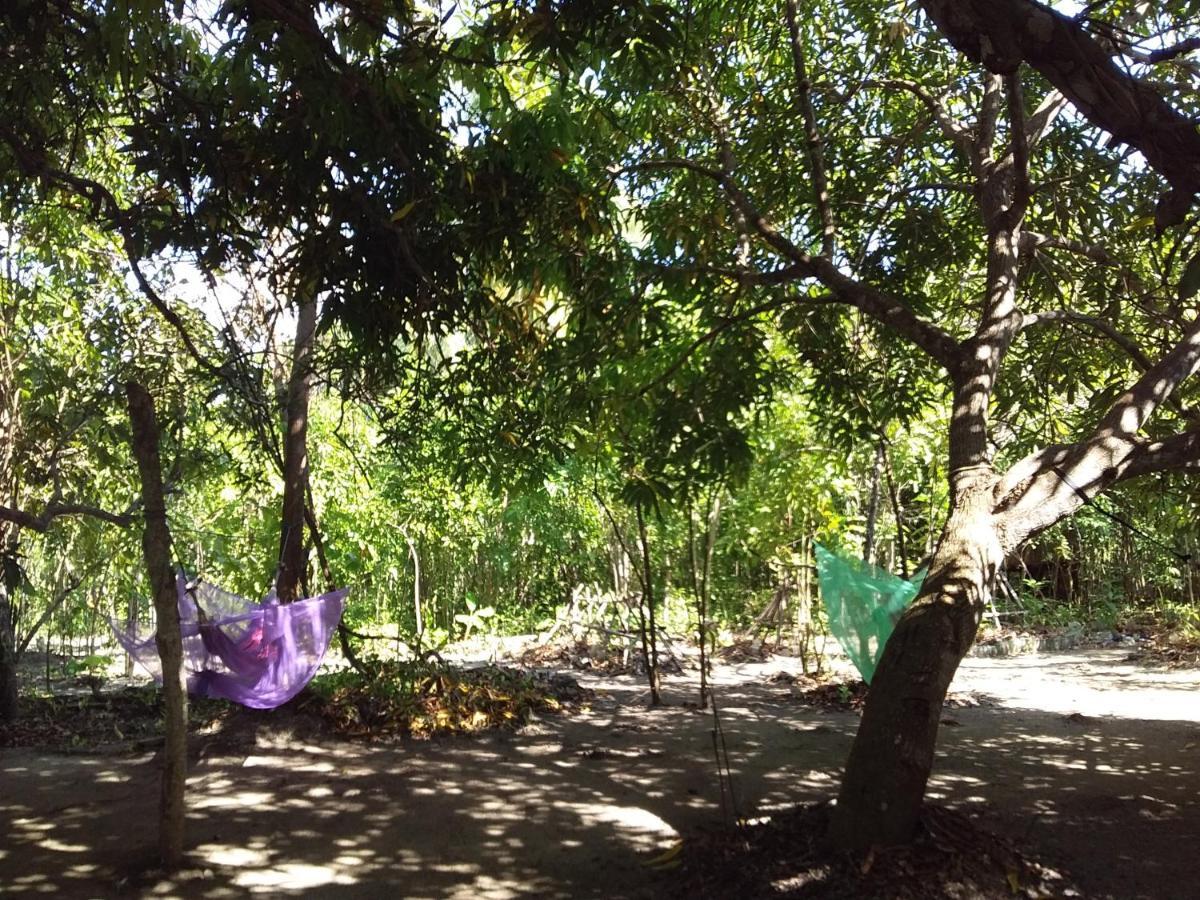 Eco-Camping Mango Feliz Rincon Del Mar San Onofre 外观 照片