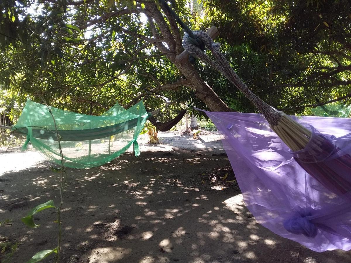 Eco-Camping Mango Feliz Rincon Del Mar San Onofre 外观 照片