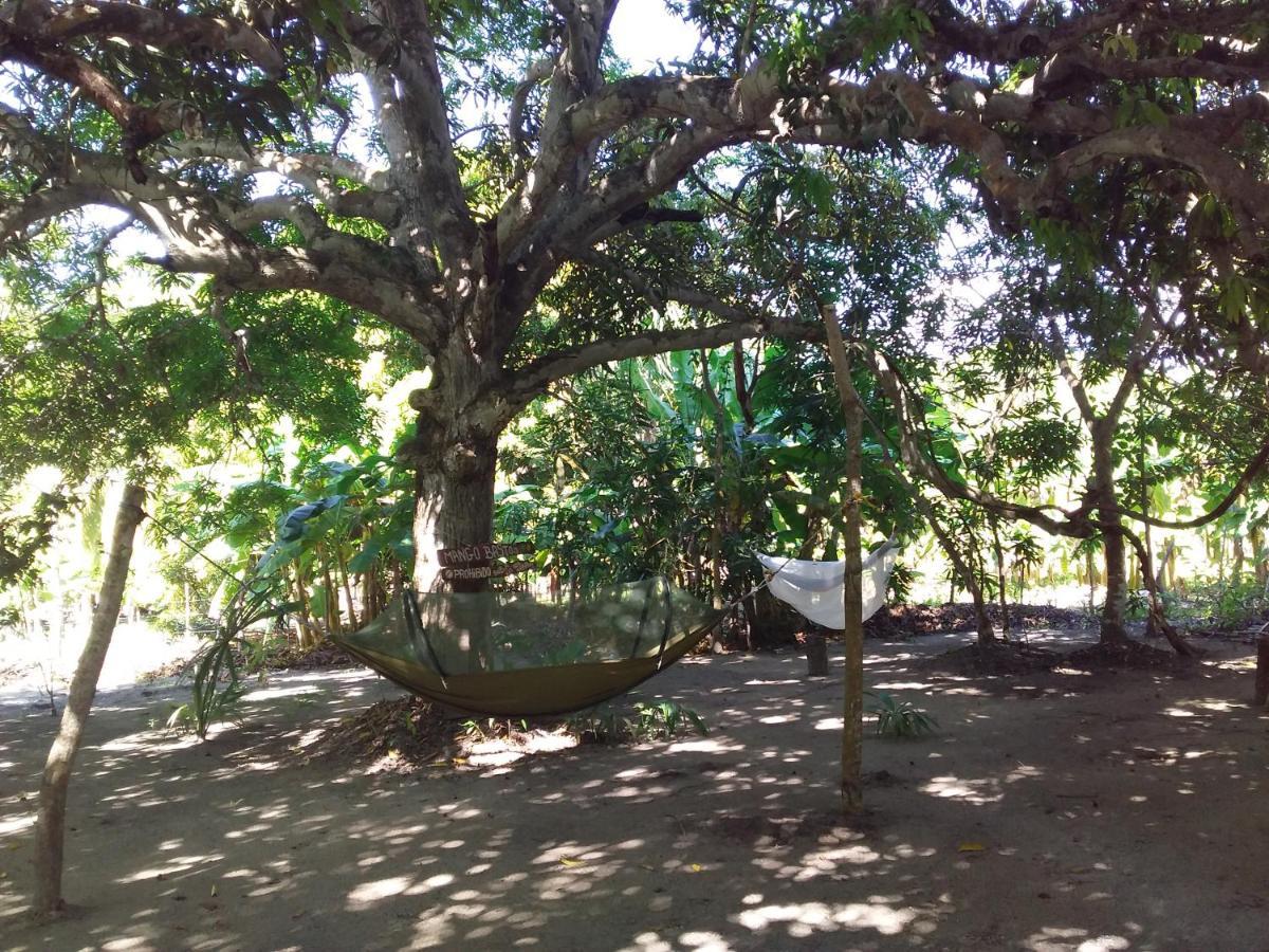 Eco-Camping Mango Feliz Rincon Del Mar San Onofre 外观 照片