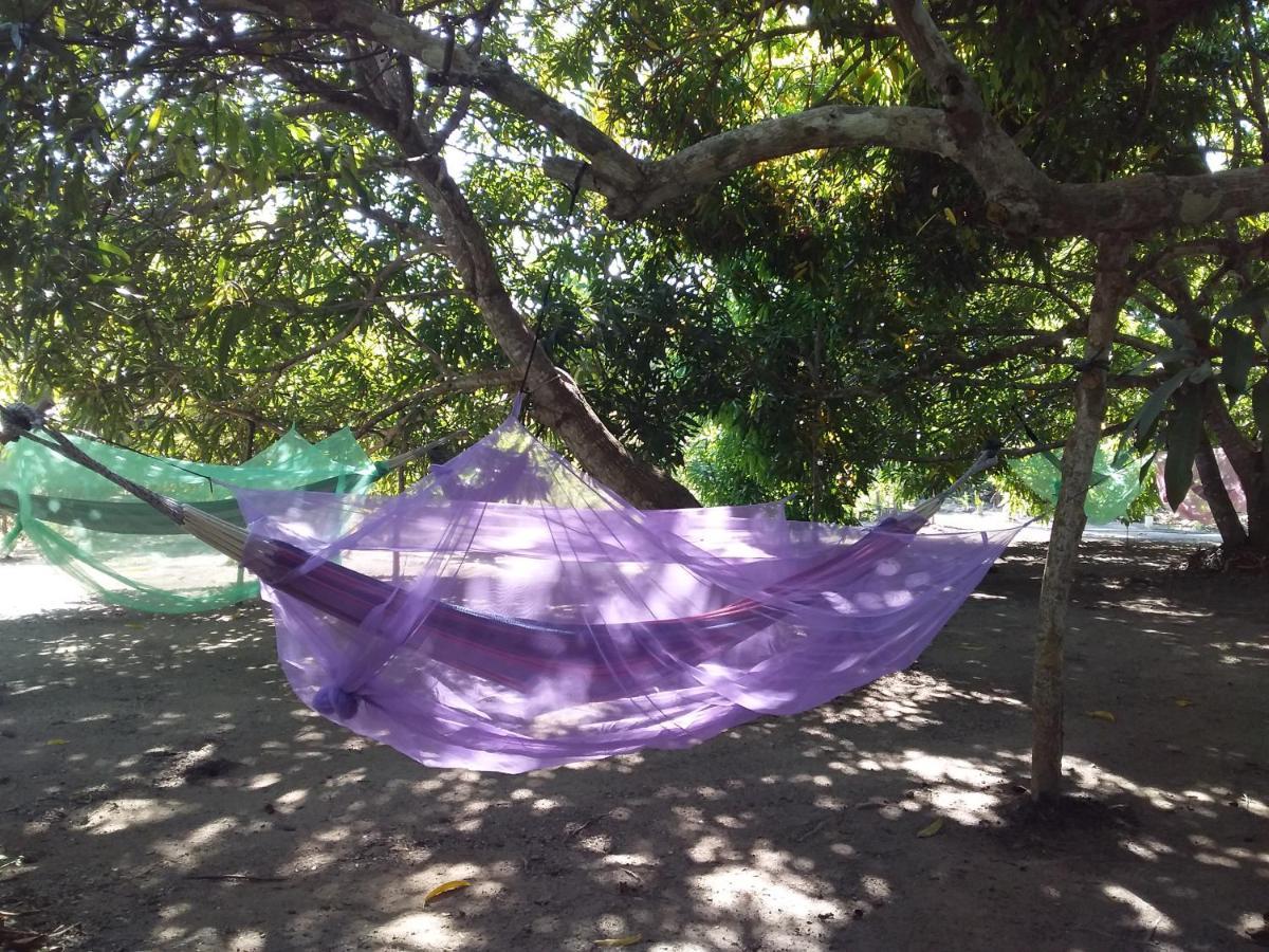 Eco-Camping Mango Feliz Rincon Del Mar San Onofre 外观 照片