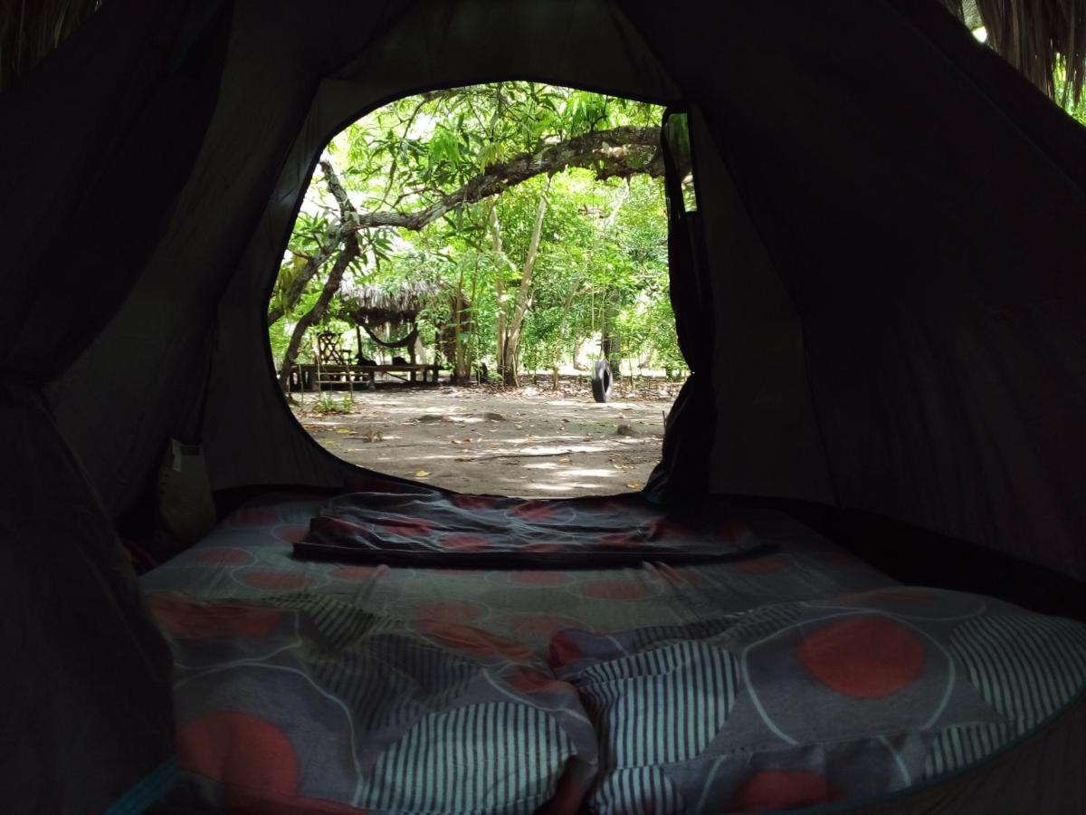 Eco-Camping Mango Feliz Rincon Del Mar San Onofre 外观 照片