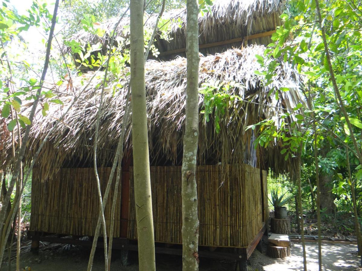Eco-Camping Mango Feliz Rincon Del Mar San Onofre 外观 照片