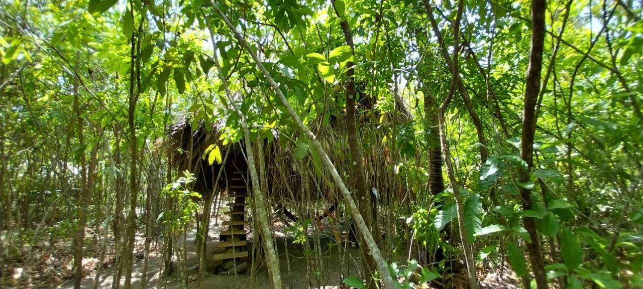 Eco-Camping Mango Feliz Rincon Del Mar San Onofre 外观 照片