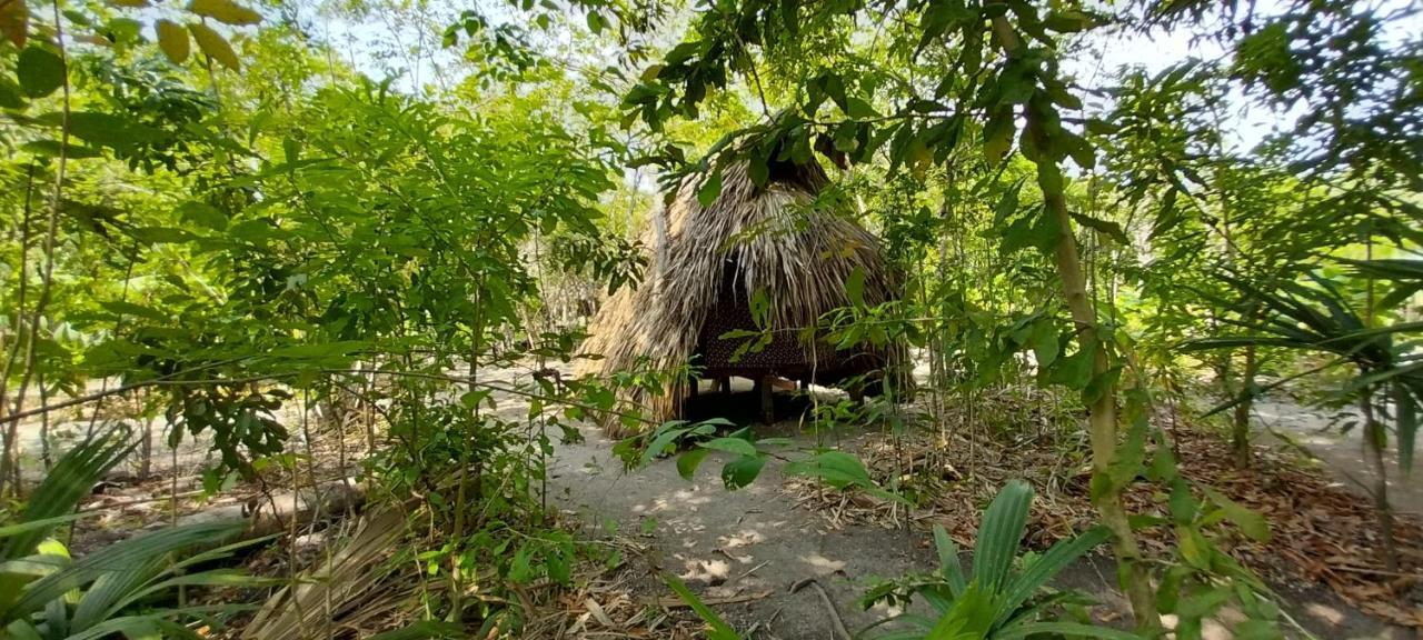 Eco-Camping Mango Feliz Rincon Del Mar San Onofre 外观 照片