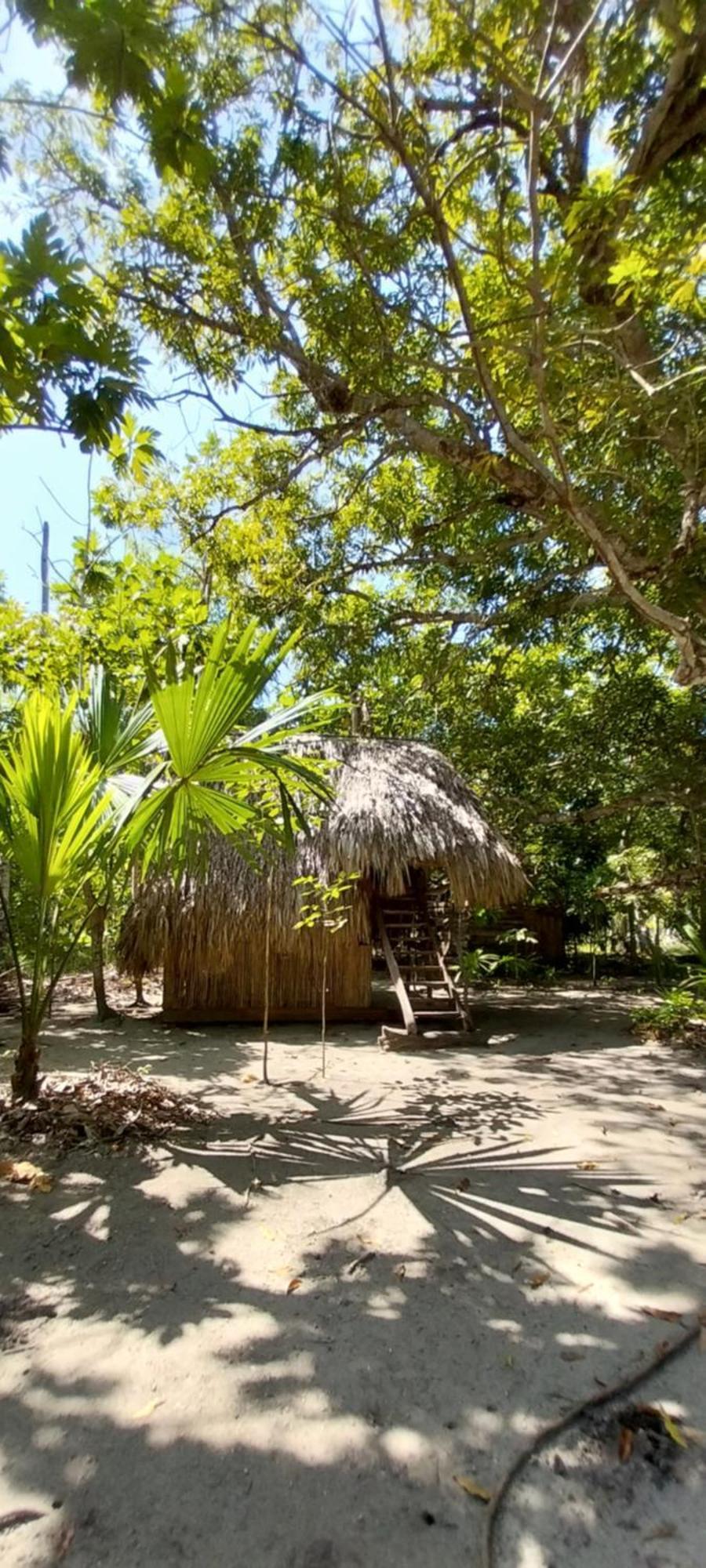 Eco-Camping Mango Feliz Rincon Del Mar San Onofre 外观 照片