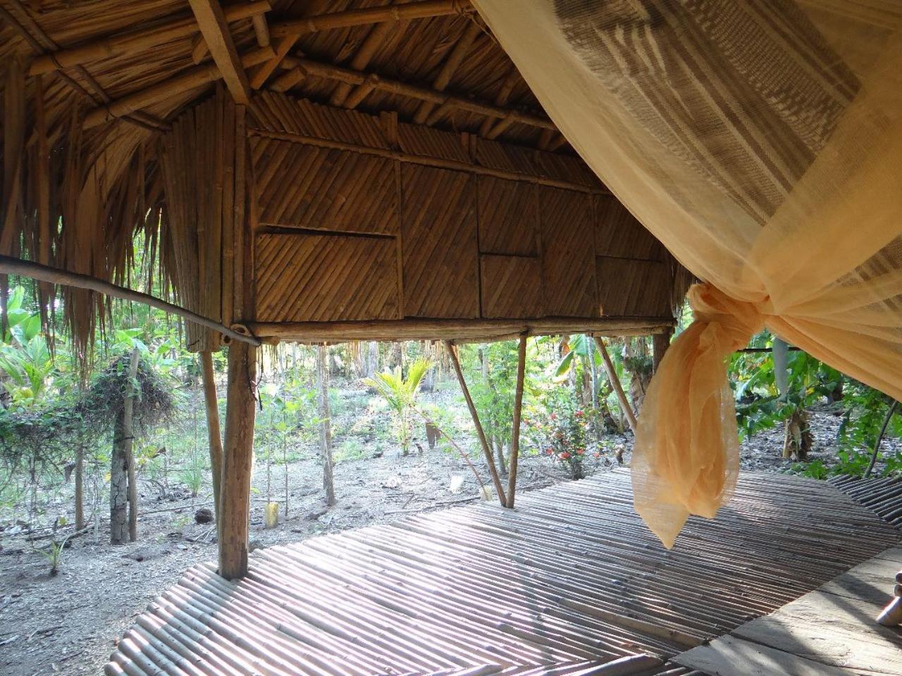 Eco-Camping Mango Feliz Rincon Del Mar San Onofre 外观 照片