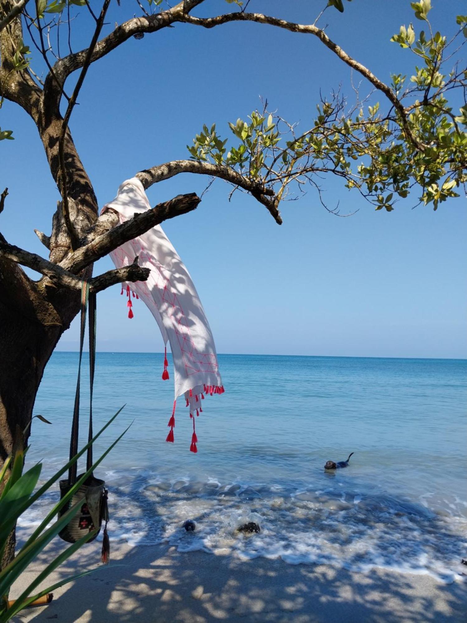 Eco-Camping Mango Feliz Rincon Del Mar San Onofre 外观 照片