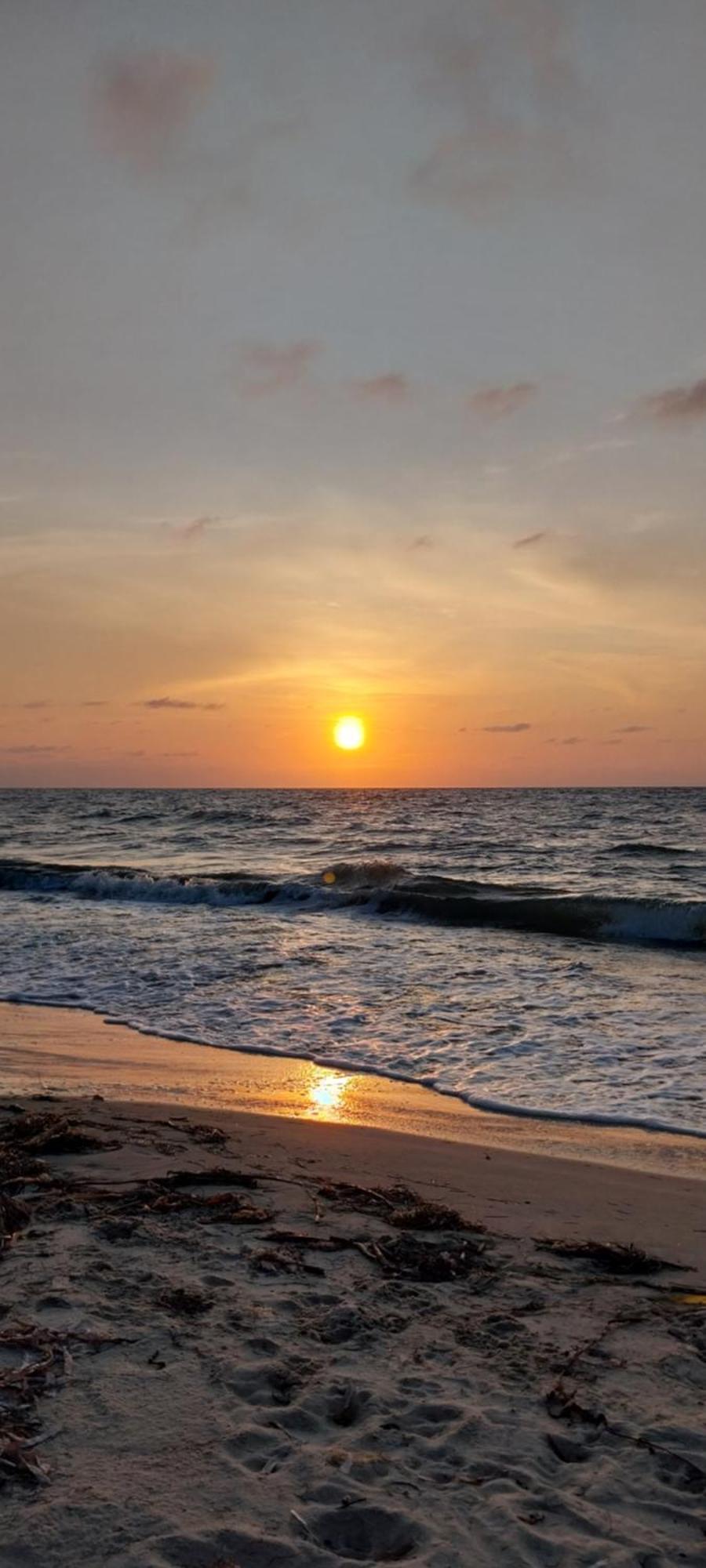 Eco-Camping Mango Feliz Rincon Del Mar San Onofre 外观 照片