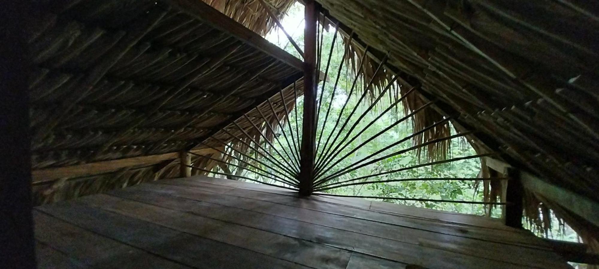 Eco-Camping Mango Feliz Rincon Del Mar San Onofre 外观 照片