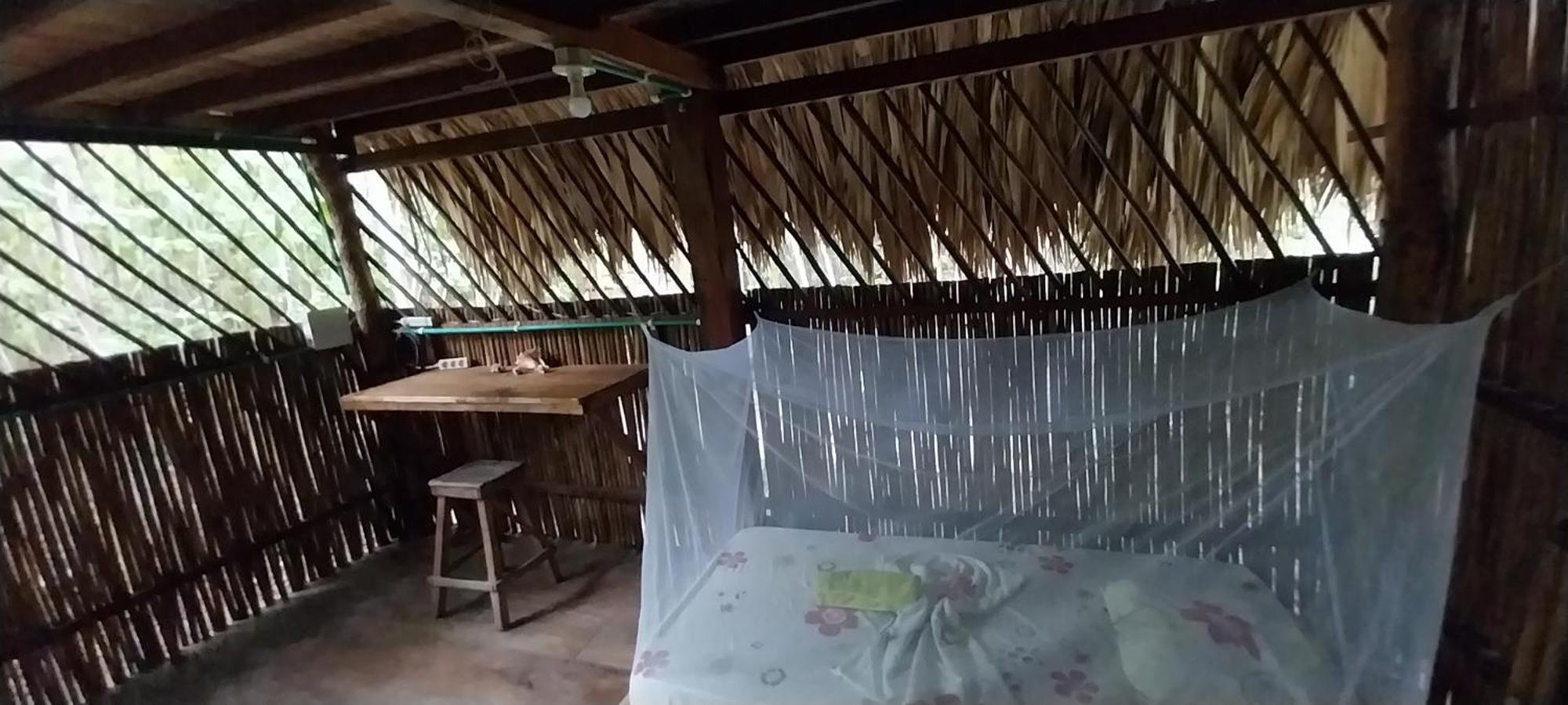Eco-Camping Mango Feliz Rincon Del Mar San Onofre 外观 照片