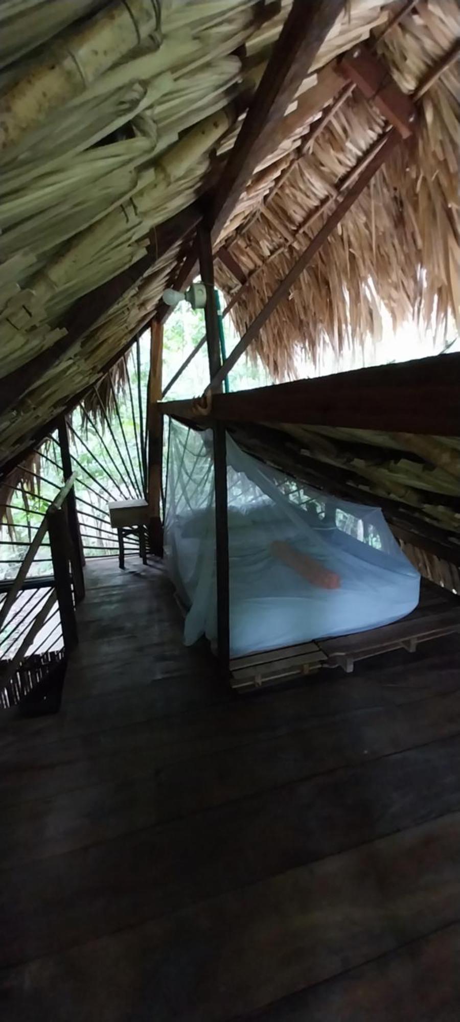 Eco-Camping Mango Feliz Rincon Del Mar San Onofre 外观 照片