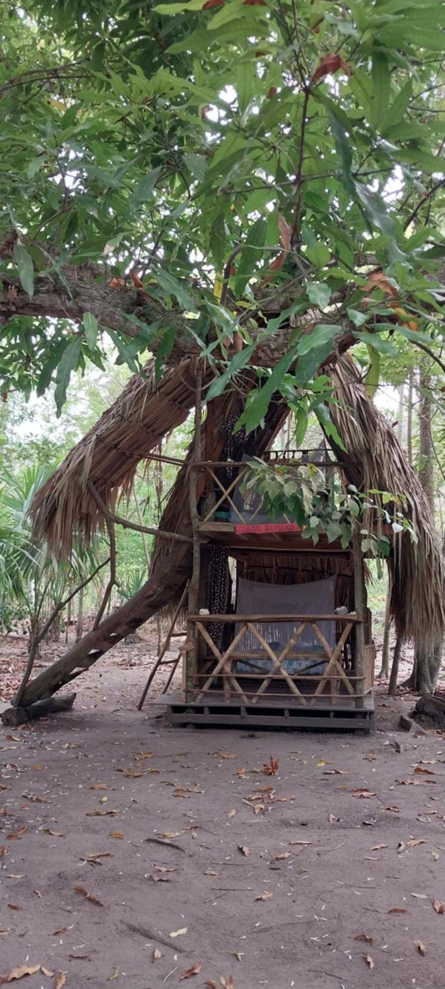 Eco-Camping Mango Feliz Rincon Del Mar San Onofre 外观 照片