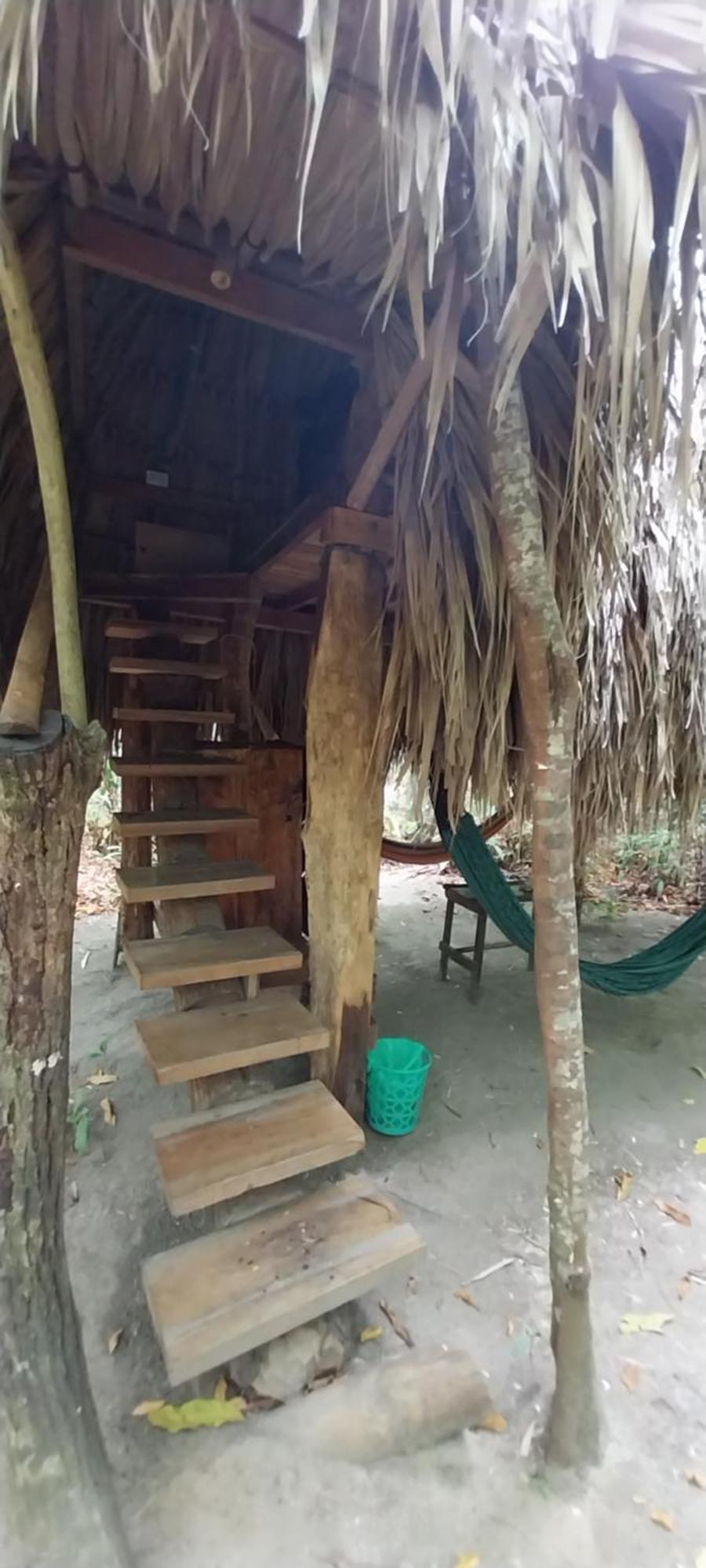 Eco-Camping Mango Feliz Rincon Del Mar San Onofre 外观 照片