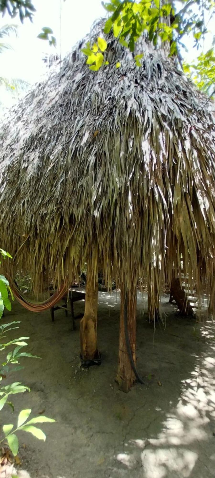 Eco-Camping Mango Feliz Rincon Del Mar San Onofre 外观 照片